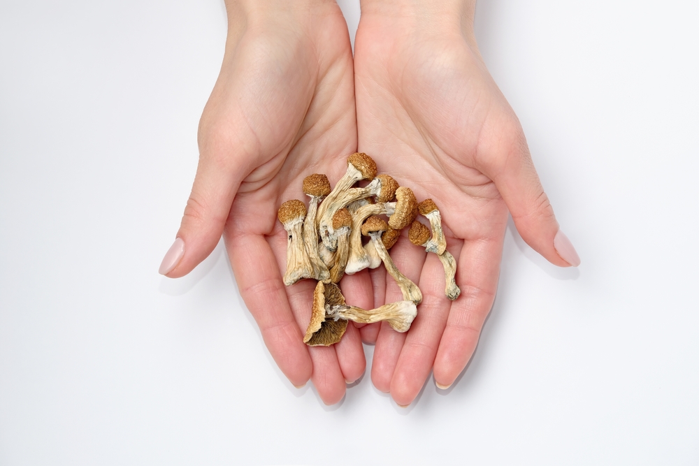 Do Psychedelic Mushrooms Show Up in a Drug Test?